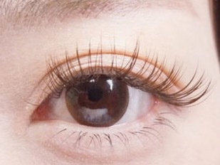 年版 江坂でブラウンがおすすめのまつげサロン3選 Beautify おすすめ美容室の口コミ ランキング情報